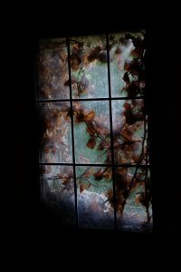 Window by Eric Juneau